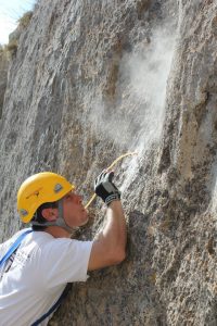 Daniel Piccini