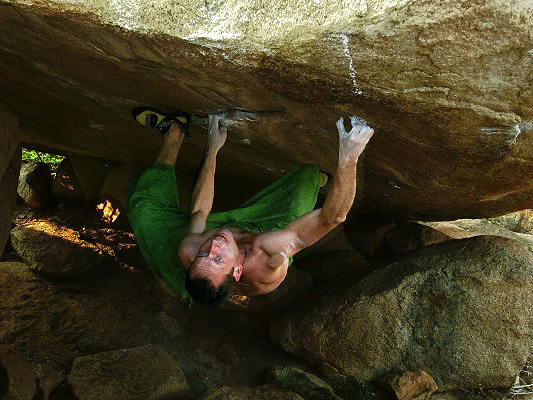 Jungle roof (Fb8a), FA / 2010.