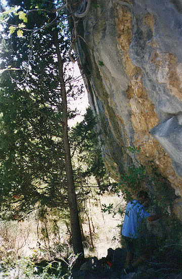 ...Domagoj Čikeš smišlja plan rušenja!