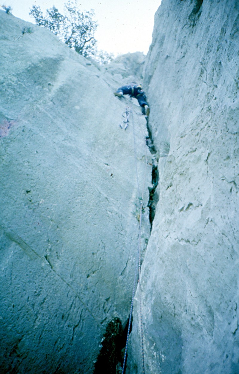 Štrojf vodi prvu knjigu Bing Bonga
