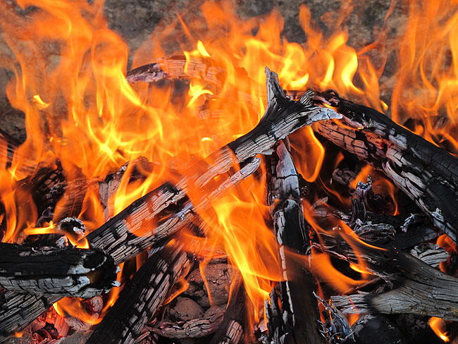 ...koji je izazva delirij!