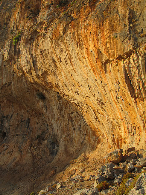 Arhi Najstariji sektor na otoku - since 1997.