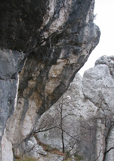King line naših aseva, prvo zaboravljen, a sad i zapaljen...