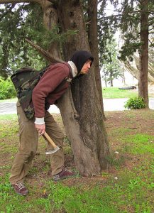 Provjereno: Grešni Luka!