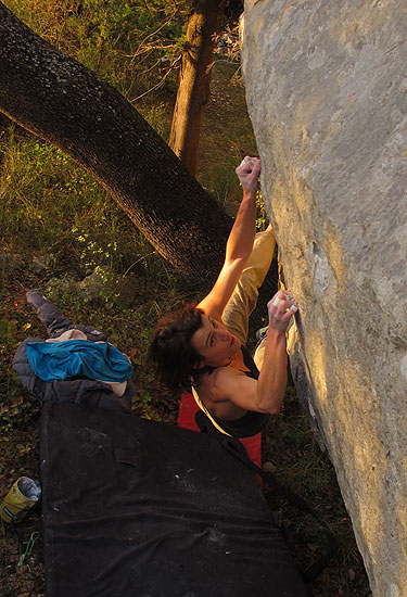 Legendarna tugarska minijatura smještena kraj još legendarnijeg krivog hrasta!