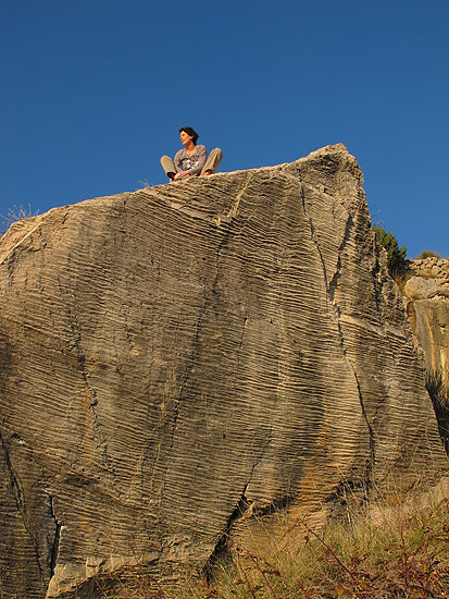 A zamalo je bila plastika!... :-)