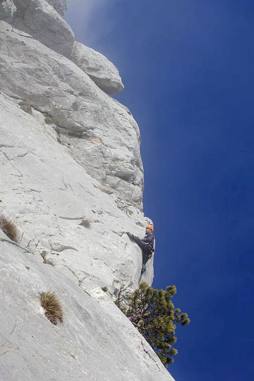 Akcija Branko u eksponiranoj situaciji!