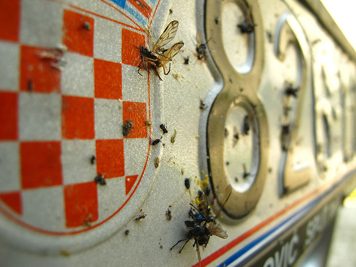 Put do odredišta se pritvoria u proljetni genocid.