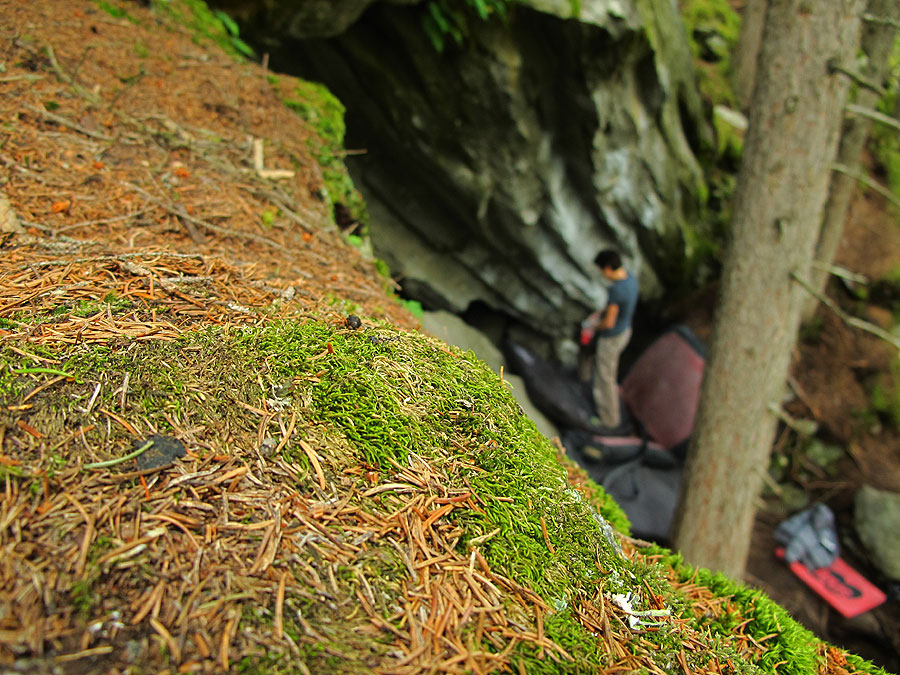 Prakticirali smo šumu!