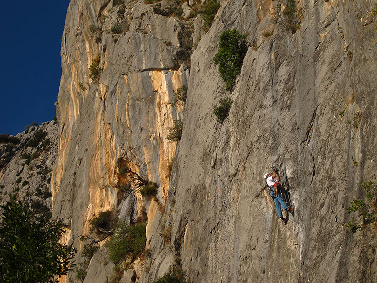 Okružen kilometrima dalmatinskog vapnenca premium kvalitete!