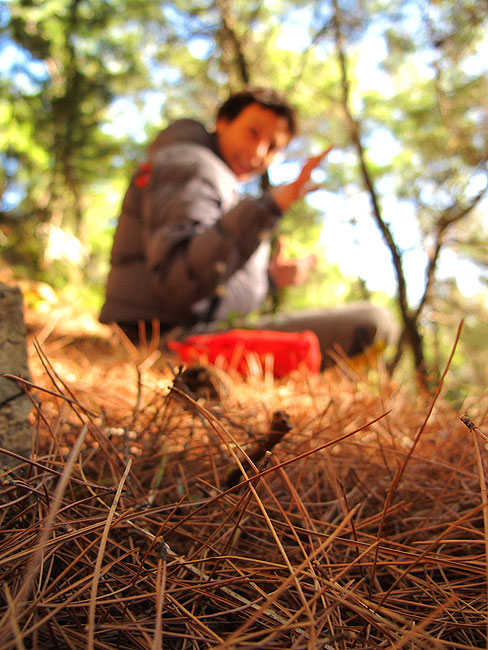 Jesen u oazi na rubu grada...