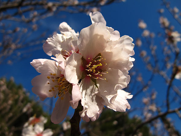 ... triba hrvatsko proljeće!