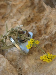 Spitovi & Sidrišta!