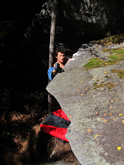 Neprohodna šuma puna kvalitetnog gneissa i ćer o Marula provjerava je li joj peta spremna za mantel...