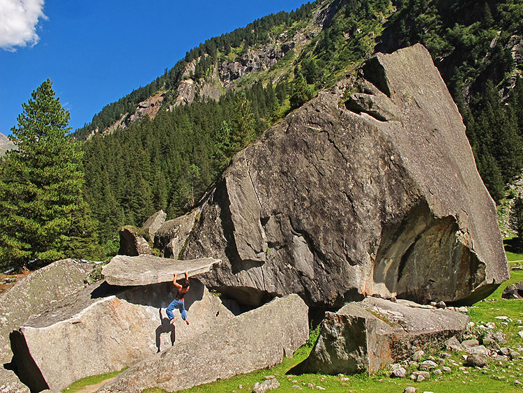 Legendarna livada puna krava i bovana...