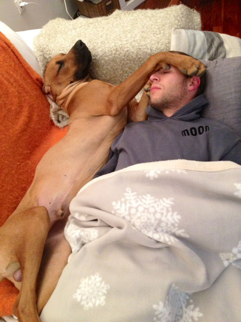 Uobičajeni prizor posli ručka, Boći i Simba u kratkom predahu. Prinova Zokićevih je stara jedva 9 miseci, a već ima 45kg iako knjige kažu da odrasli riđbeci uvate do 39kg....jednostavno golem!