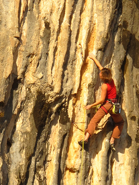 Zadnja u stini, Maja Božić, Reposa...