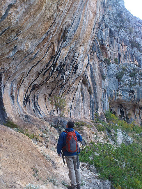 Dani Piccini u objektivu Dina Mojsija Markića, snimljen jutros na ulazu u novi sektor...
