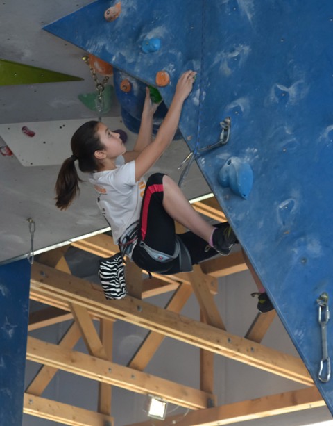 kvalifikacijski smjer