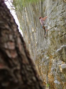 Šuška se u Rupotinama!