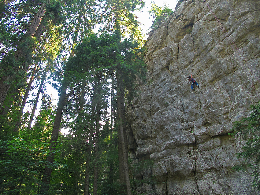 Nije stina niska nego su stabla visoka :-)