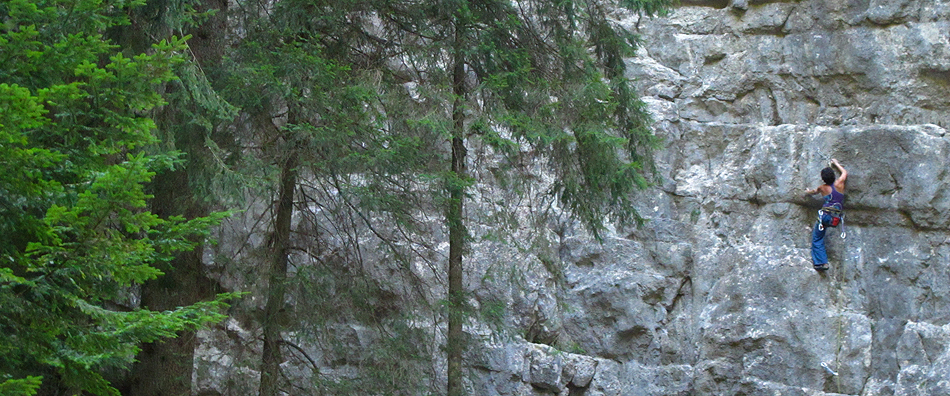 Baki horizontal view