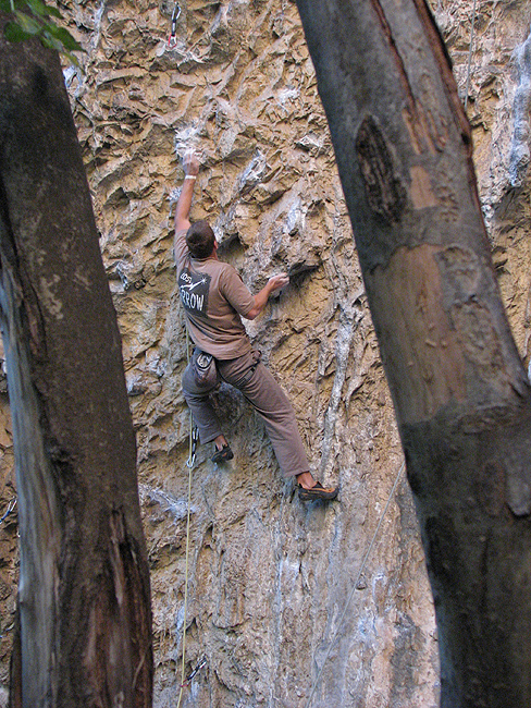 U livom sektoru Mišje - Tortuga (7b)