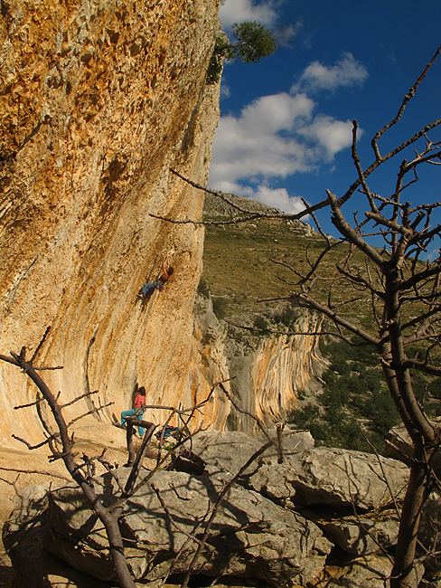 Fotka puna trogirske idile!