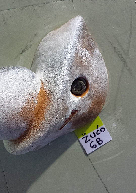 Kontroverzni Žućo! Sandbag ili ne ?!?