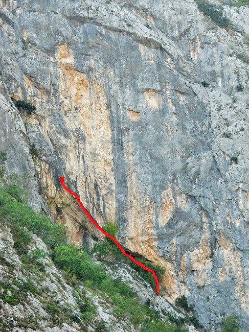 Vukowar okružen morem netaknute stine. Evolucija se nastavlja...