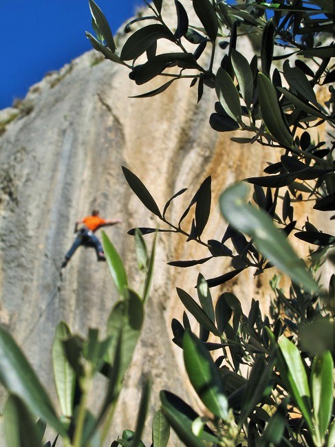 Stina, maslina i težak = Dalmacija!