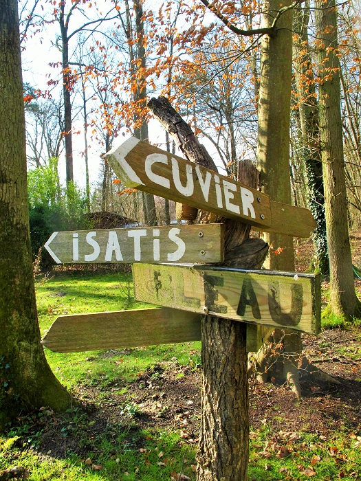 Dobro pitanje - šume Fontainebleaua se prostiru na cca 30km kvadratnih!