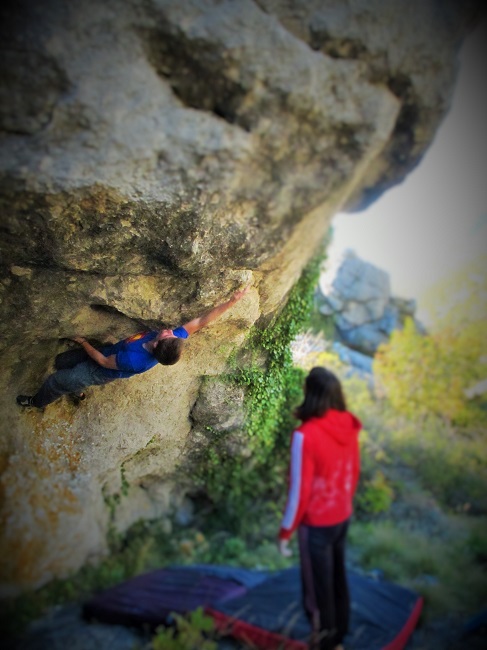 Niksi u pokušaju Bumbara daleke 2014.