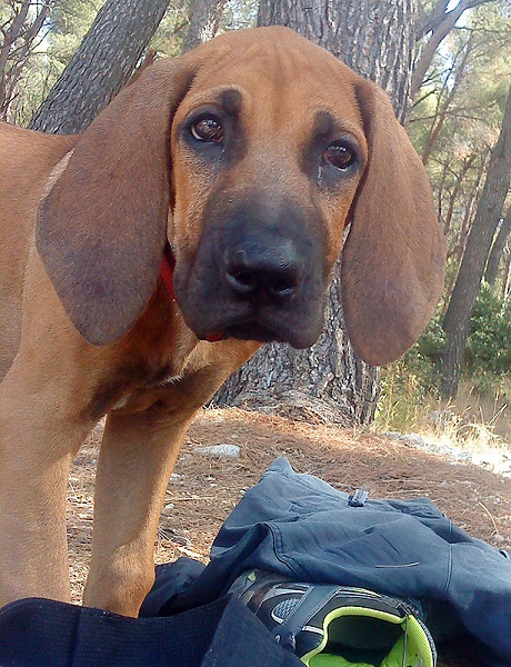 ...kad je bia mlad i lud!