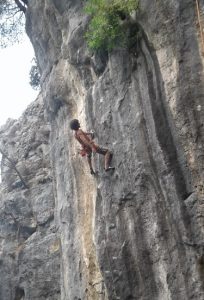 Jensterlei su zakon!