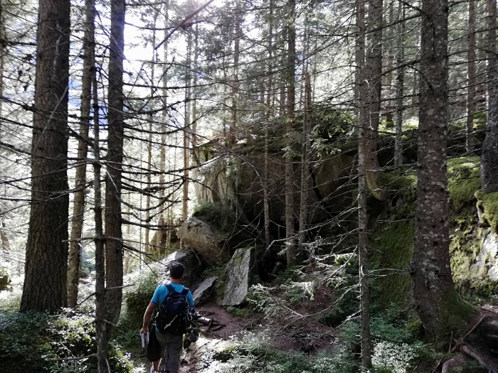 ... i boulderi u šumama