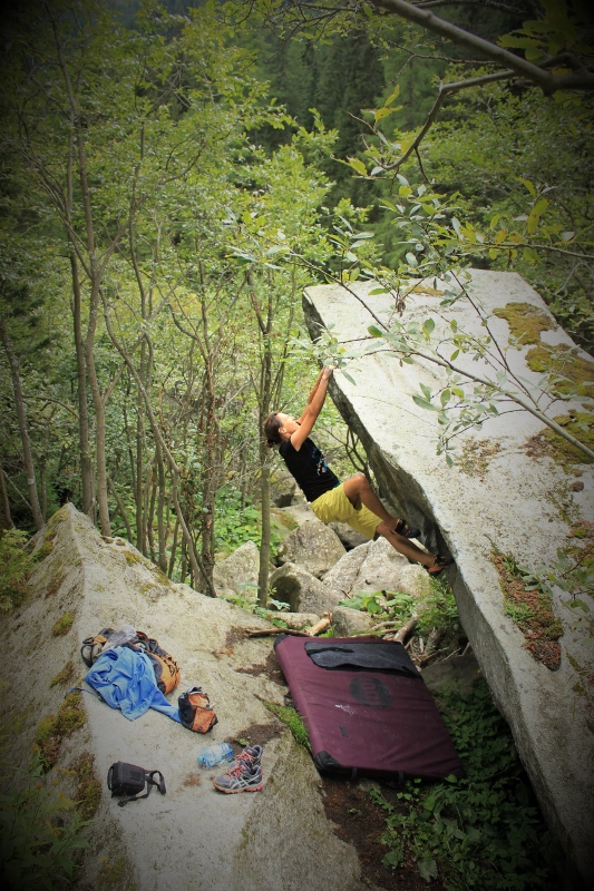 Sve skupa masu podsjeća na Magic Wood.