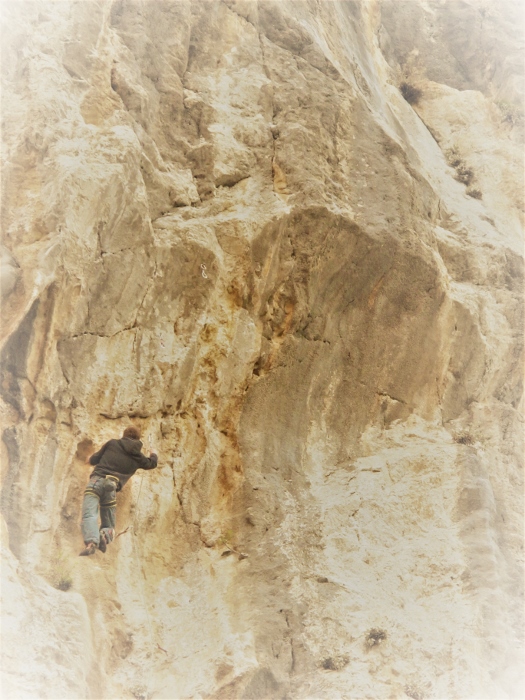 Jedan od prvih Niksijevih ulazaka u DMW godine 2014-te...