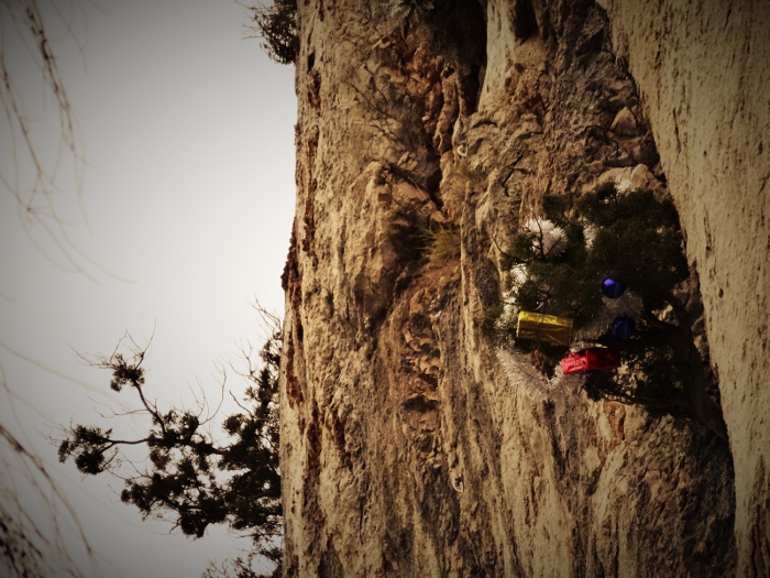 Najpoznatije marjansko stabalce u klasiku Anja, ukrasle su vridne ruke naših težaka! Bravo!