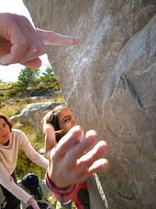 Kivi, oćemo vodič!