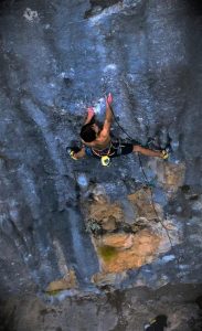 T.O.M.: Bono Ćosić!