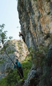 New area: Ženilište!