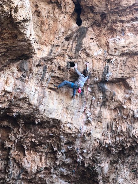 Ako tribate odabrat jedan smjer za popet u Il Latniji, neka bude ovaj!