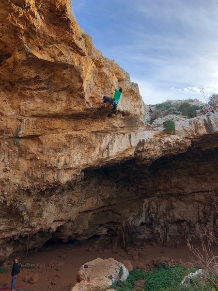 Titanian princess (7b)