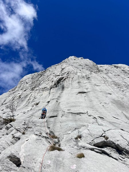 Teški Bukovac, sine!