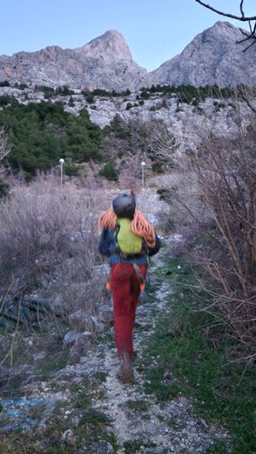 Dalmatinski san & Bukovac u daljini.