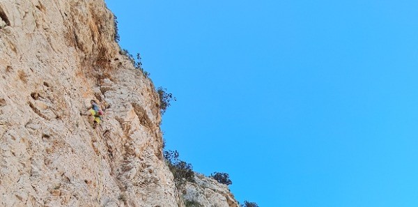 Bik Koji Sjedi Teški Divlji Zapad!