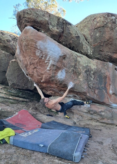 Nakon šta je popea Palplant - Zeko je posta nezaustavljiv!