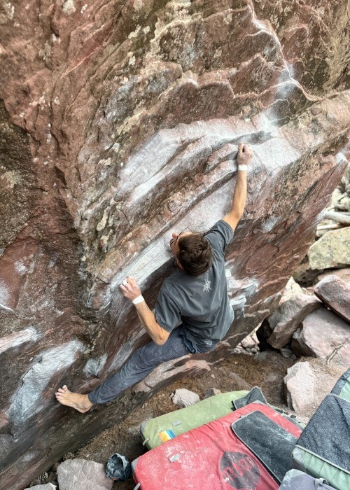 Charles Albert session...