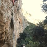 Supružnici Lisica u debeloj ladovini livih ploča centrale.